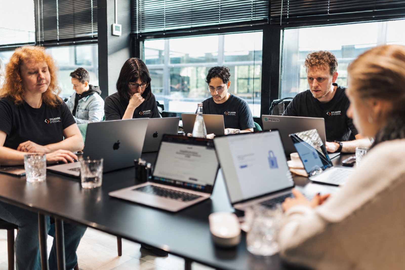The Sylmark Systems team working together in the office